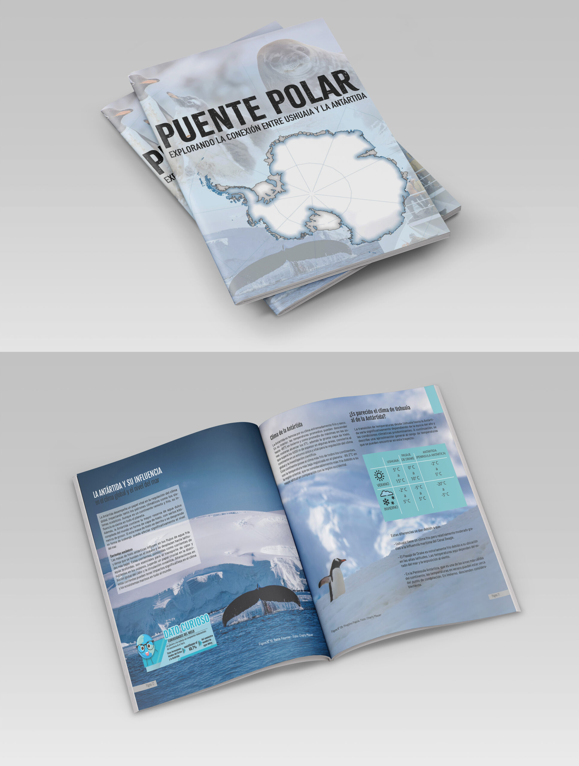 puente polar 3